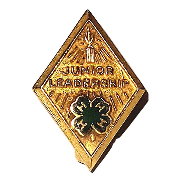 7 4-H Pins:  2-2nd , 3rd, 4th, 5th Sterling, 10K Clover & Junior Leadership Pin - Picture 2 of 13